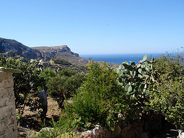 Mesochori. Karpathos.