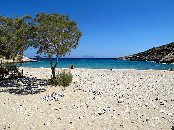 Enslig strand på Schinoussa.