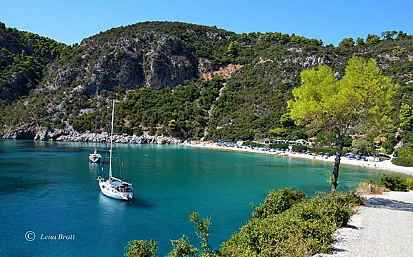 Limonari Beach. Skopelos.