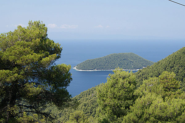 Dasia. Skopelos.