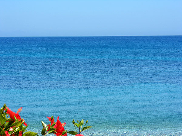 Oasis. Tilos.