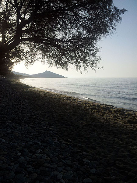 Agios Fokas beach. Tinos.