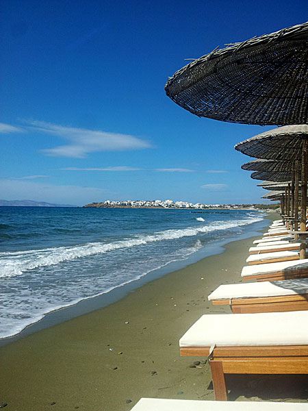 Golden Beach. Tinos.