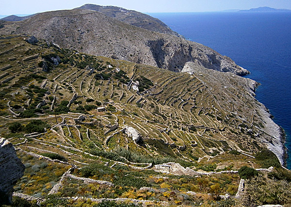 Stenmurar. Folegandros.