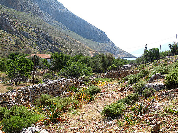 Paleonisos. Kalymnos.