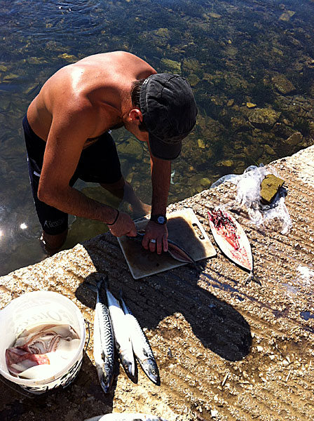 Makrill i Grekland. Antiparos.