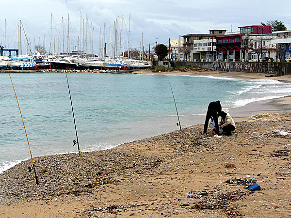 Stelios utflyktsbåt på Rhodos.