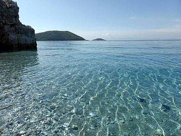 Hovolos. Skopelos.