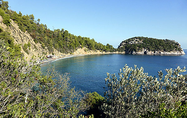 Stafylos. Skopelos.