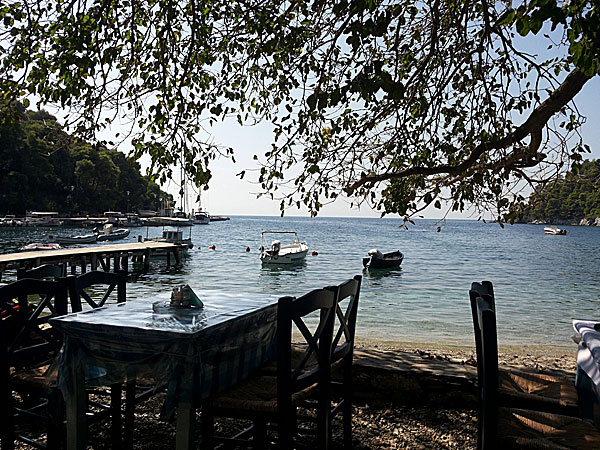 Agnontas. Skopelos.