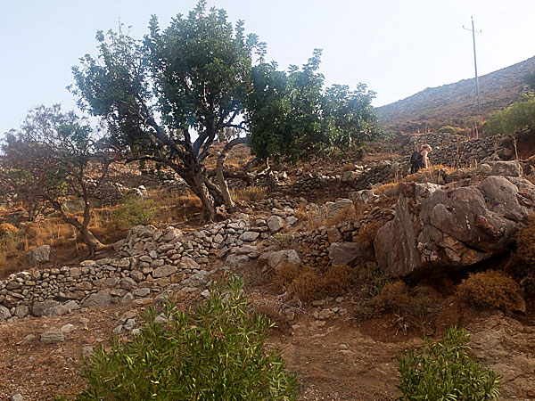 Mikro Chorio. Tilos.