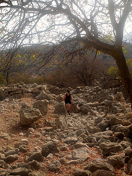 Mikro Chorio. Tilos.