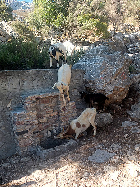 Agios Pandeleimon. Tilos.