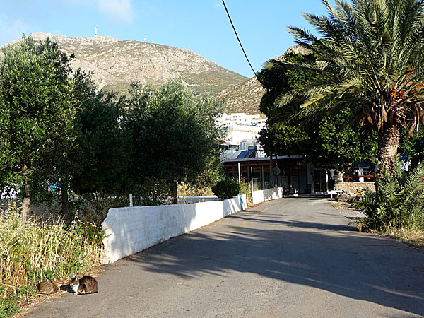 Bageri. Tilos.