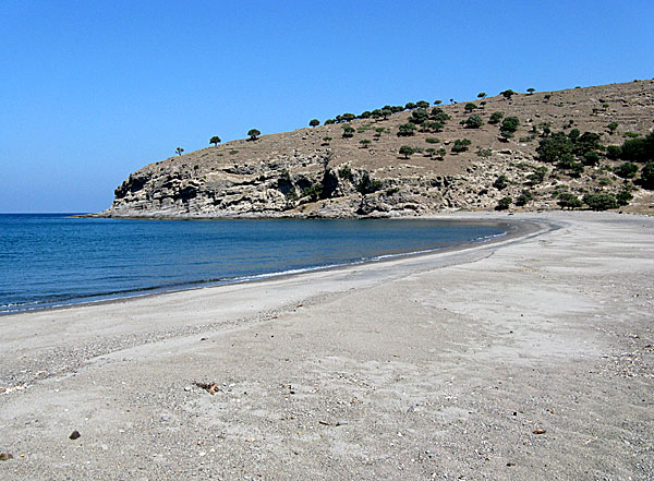 Agios Efstratios. Lidario beach.