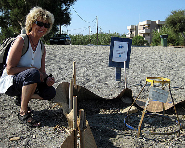 Caretta beach i Gerani. Kreta.