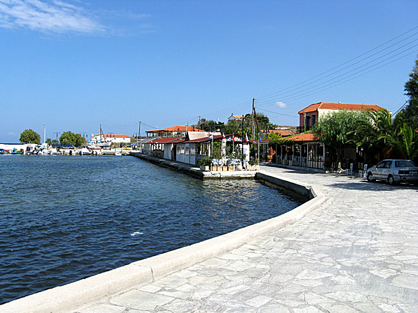 Limnos: fiskrestaurangerna i Kotsinas.