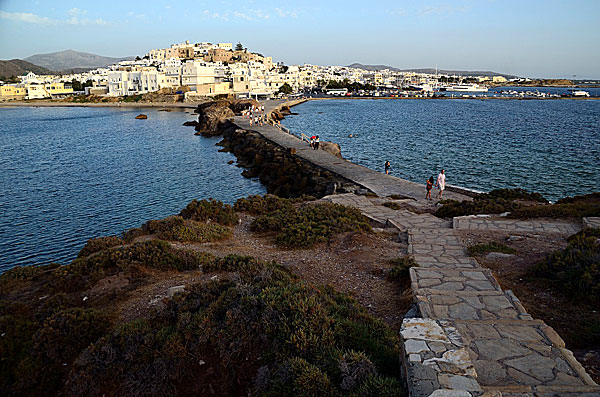 Palatia. Naxos.