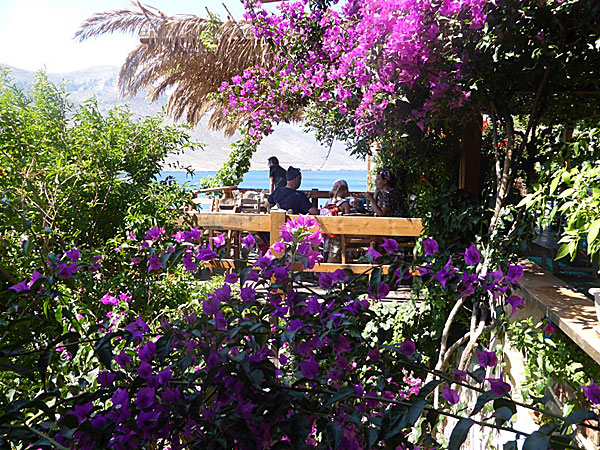 Levrossos beach. Lunch.