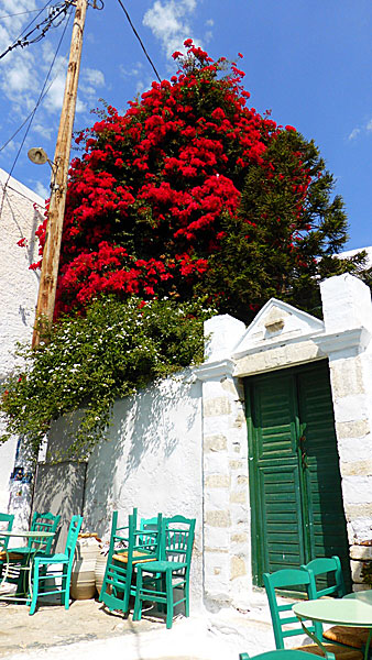 Chora. Amorgos.