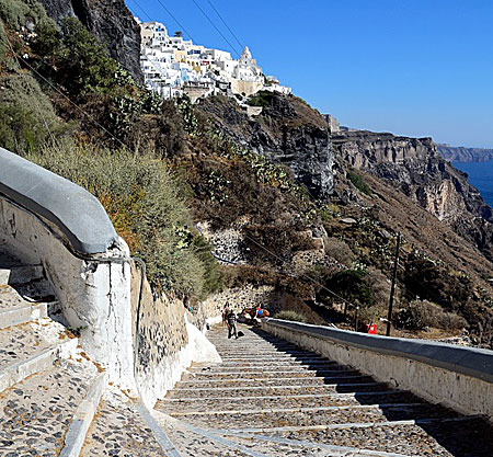 Åka åsna från Fira till hamnen på Santorini.