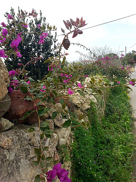 Koroni. Peloponnesos.